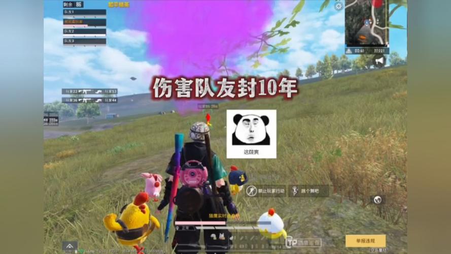 和平精英IOS辅助【sSs内部】免越狱使用，陪玩专用，低调上分